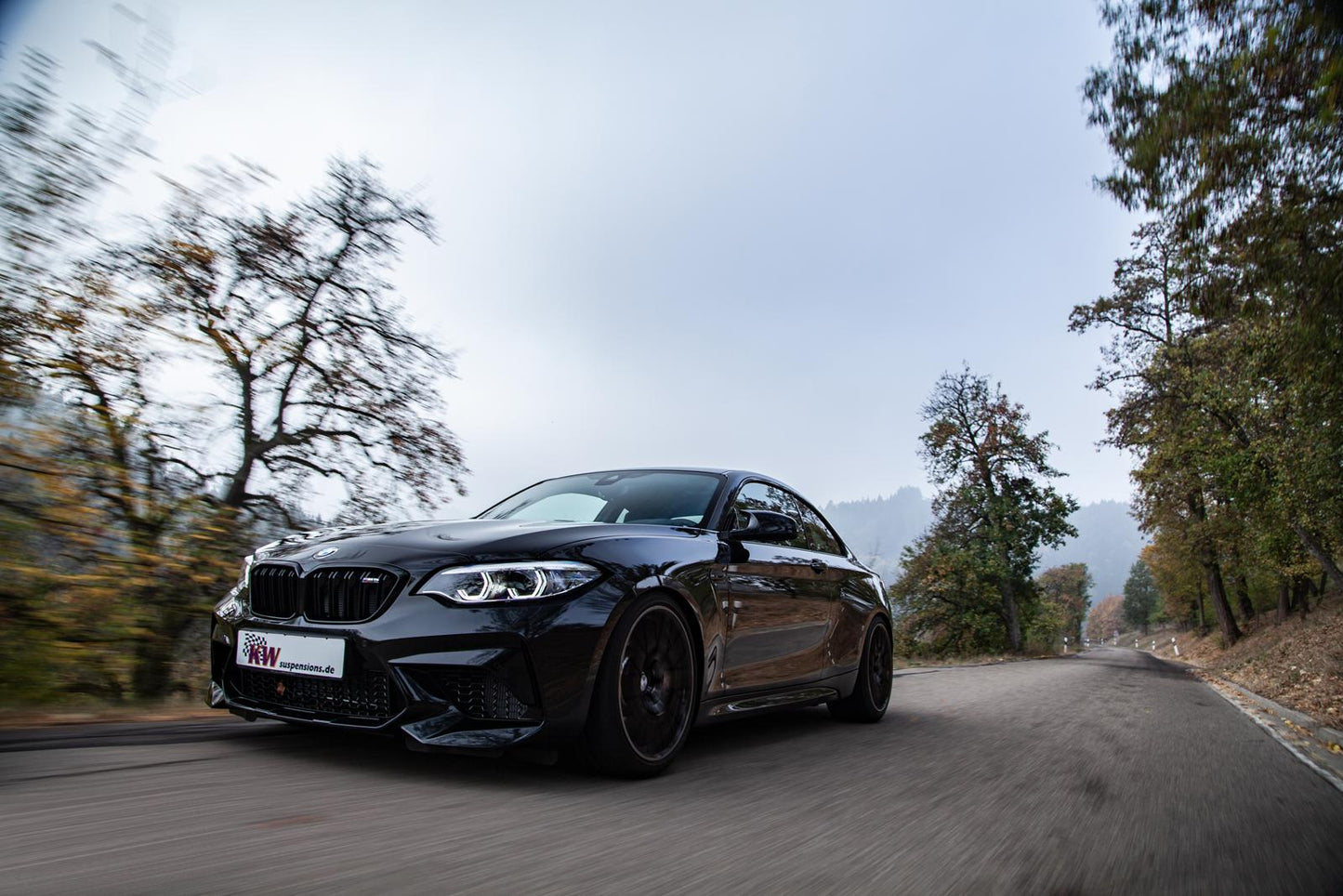 KW height-adjustable springs kit (Lowering springs)
